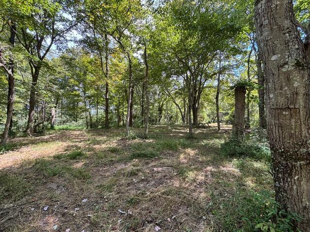0 Us-35 Property Photo 4