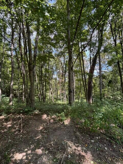 0 Us-35 Property Photo 9