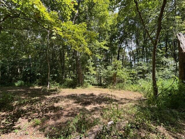 0 Us-35 Property Photo 13