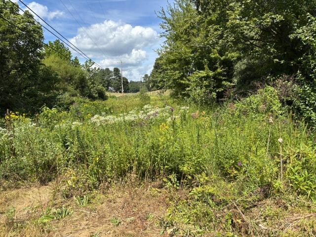 0 Us-35 Property Photo 14