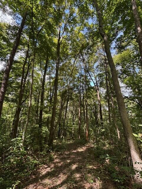 0 Us-35 Property Photo 16