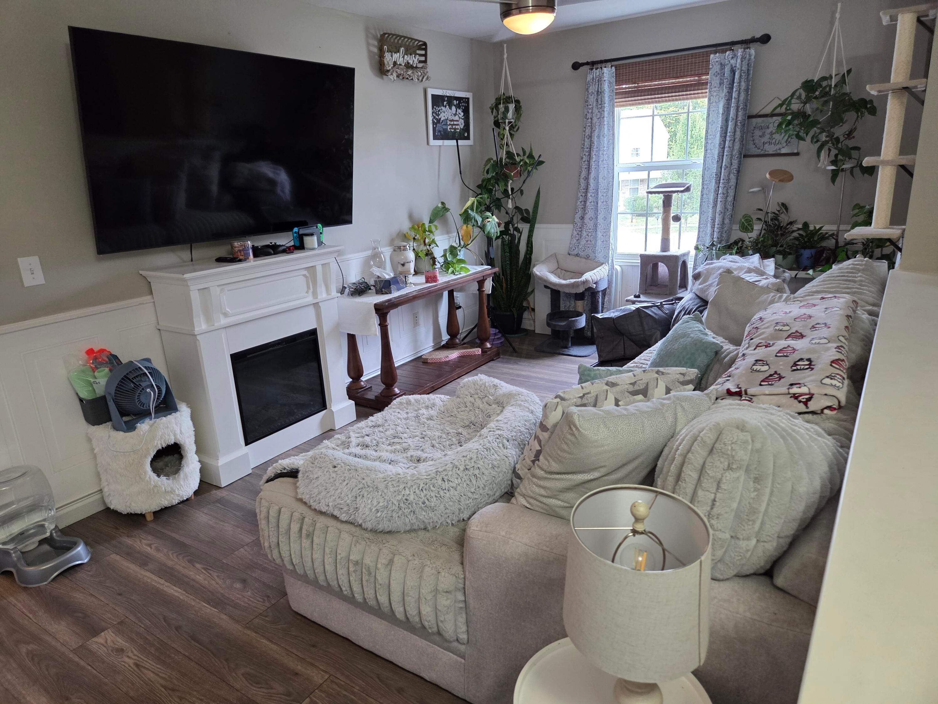 25 Mandolin Court Property Photo 27