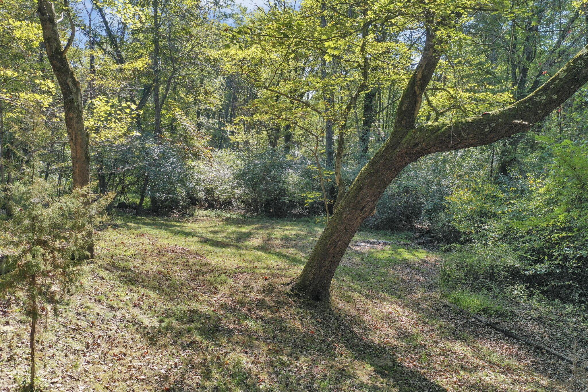 298 Tillamook Lane Property Photo 45