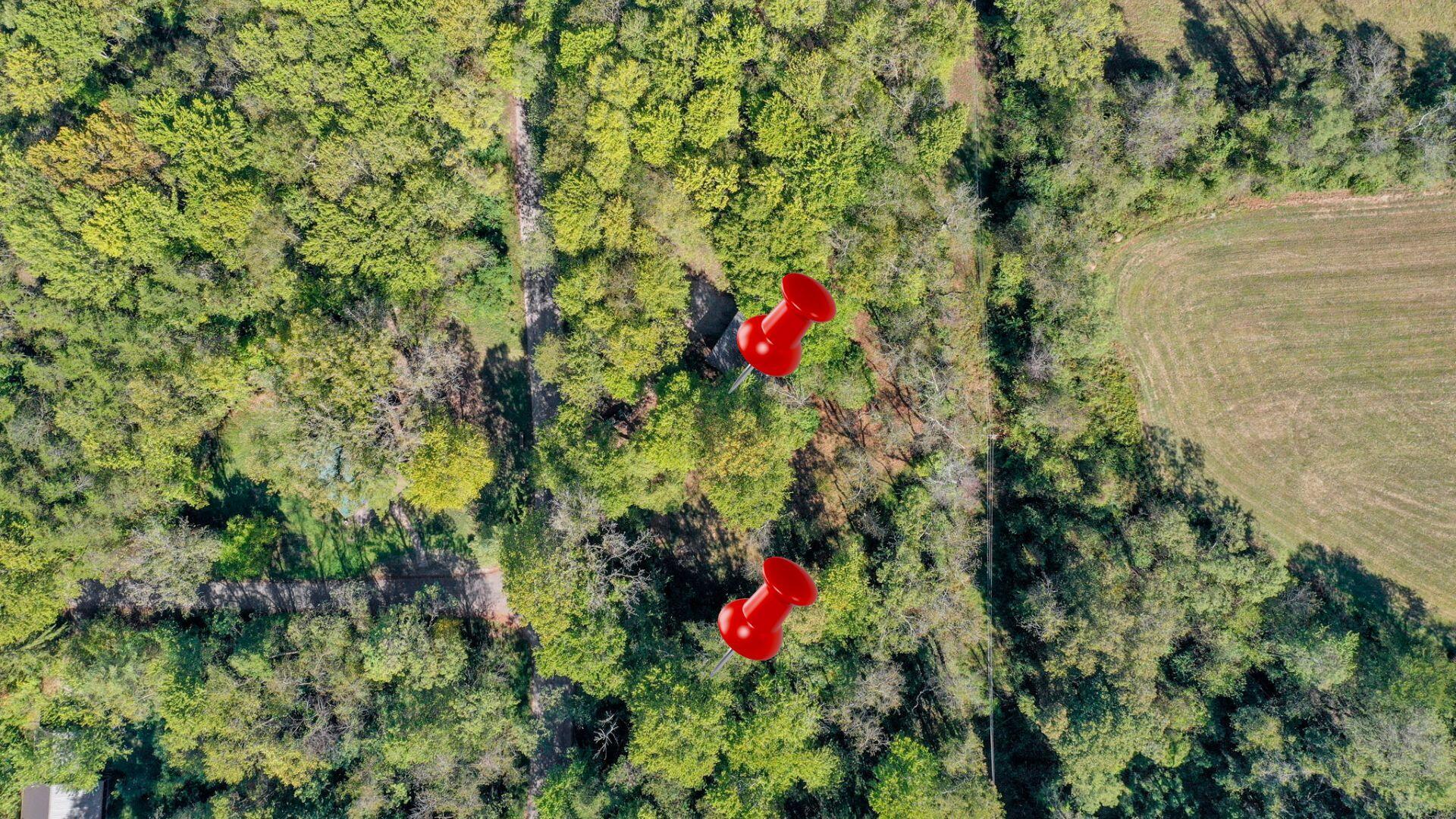 298 Tillamook Lane Property Photo 48