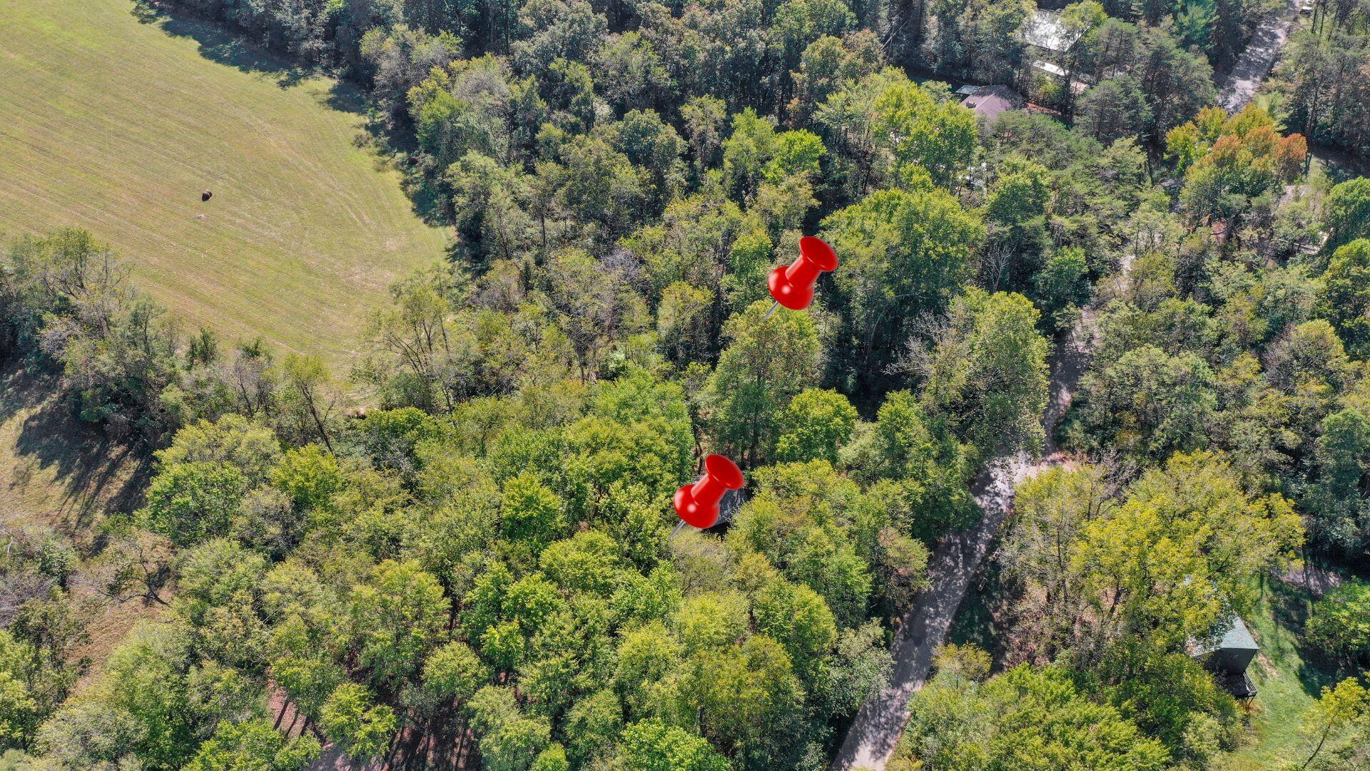 298 Tillamook Lane Property Photo 49