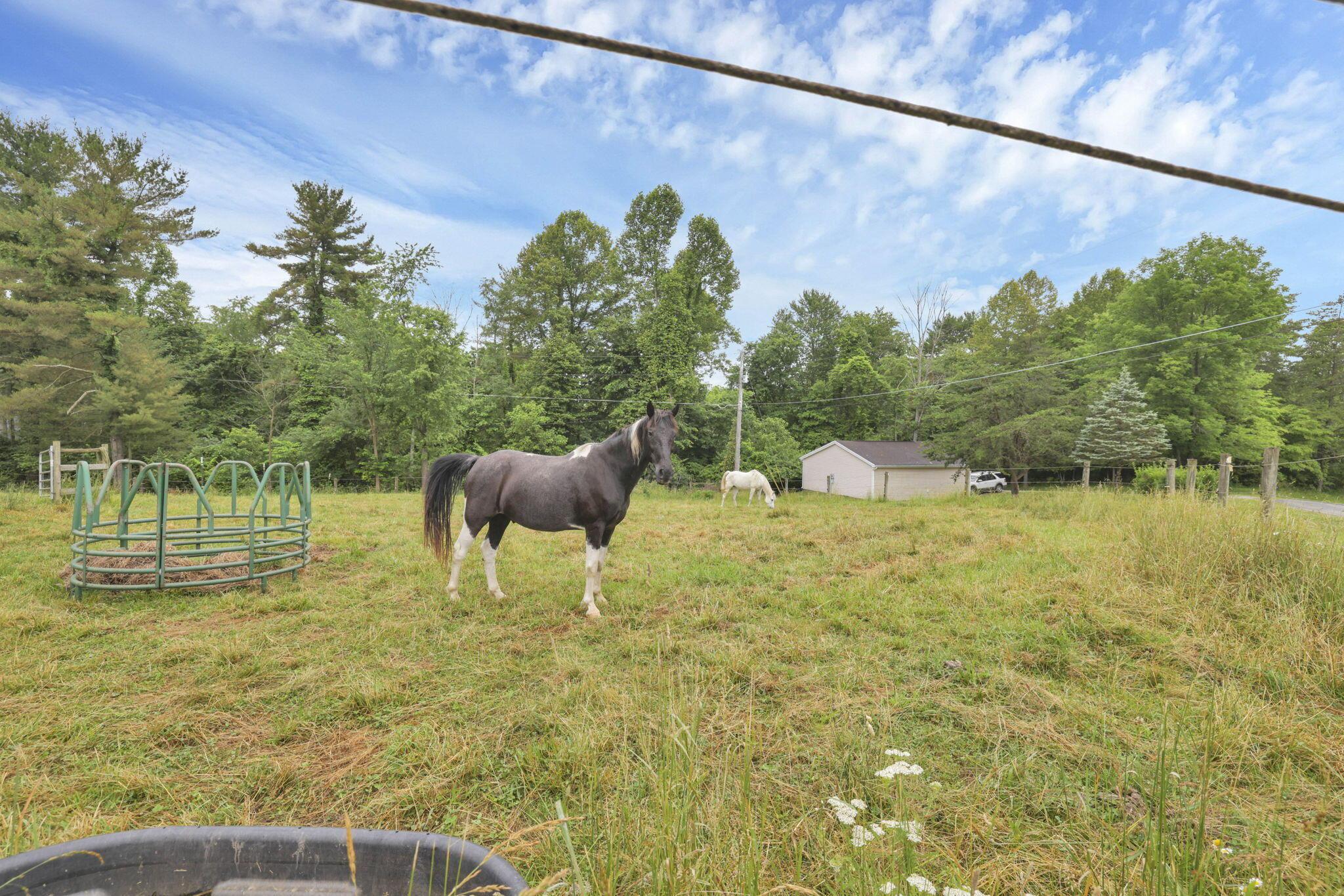 298 Tillamook Lane Property Photo 53