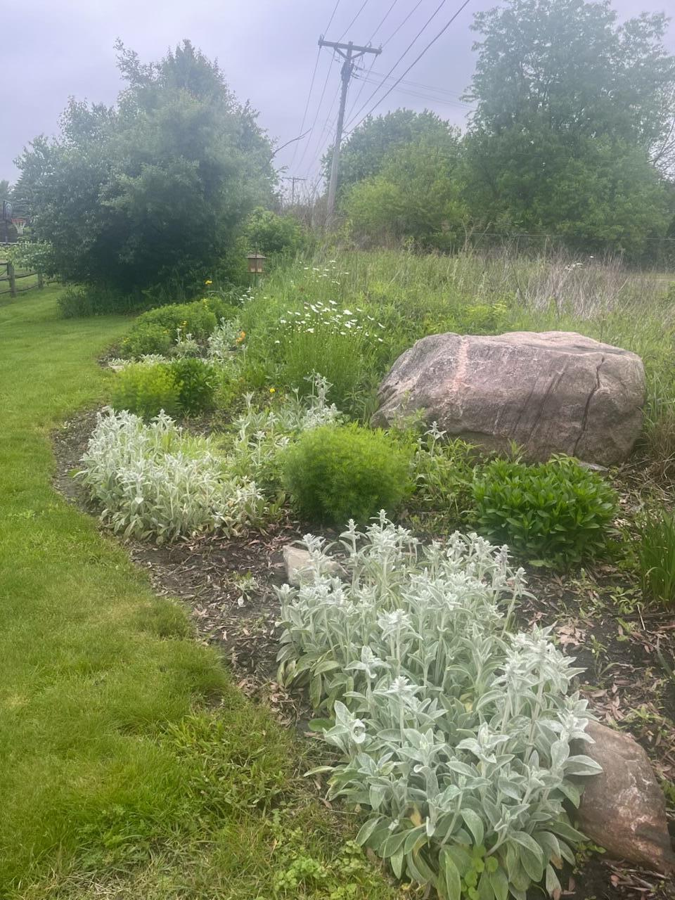 1058 Milford Drive Property Photo 38