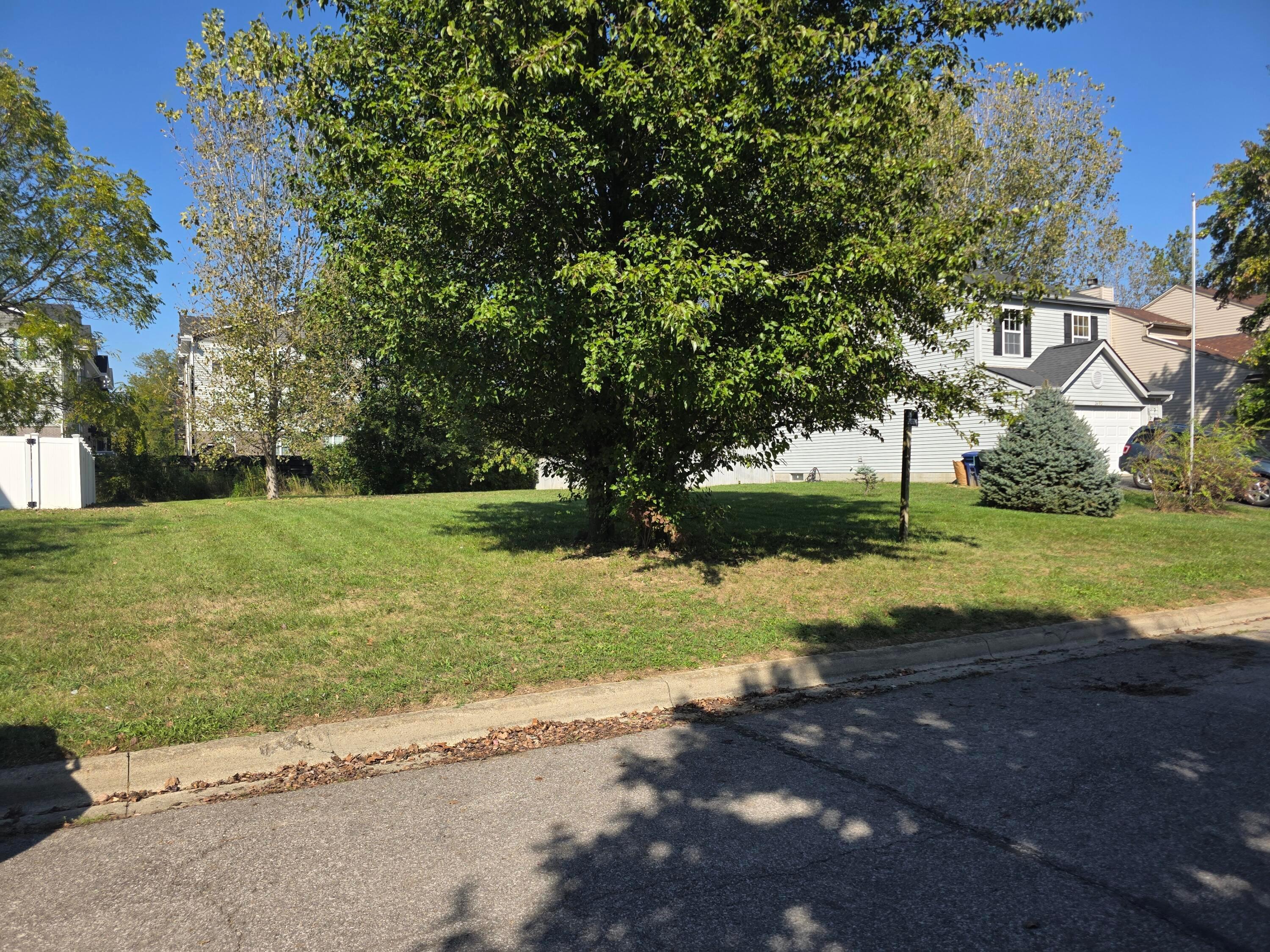 0 Blendon Bend Way Property Photo 3