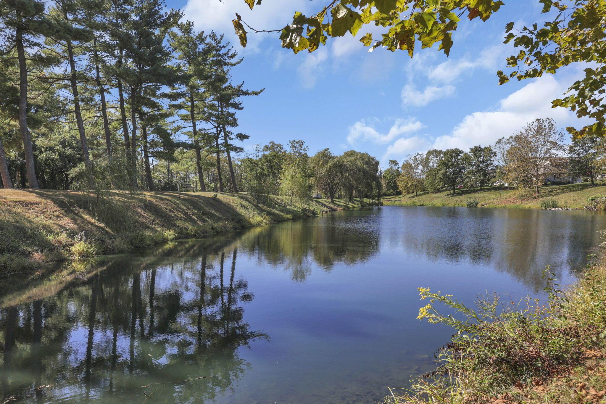 472 Virginia Court Property Photo 39