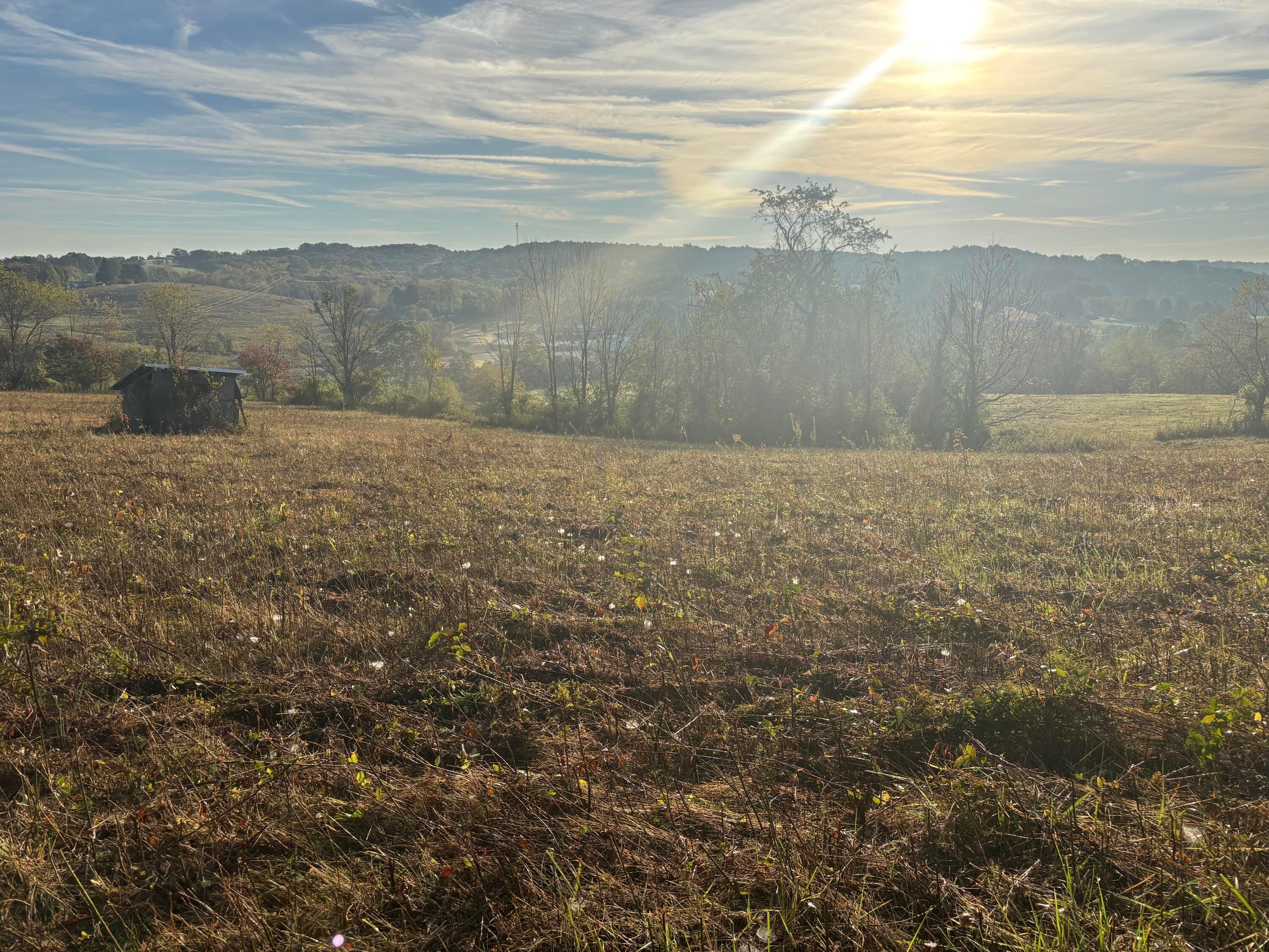 14121 State Route 664 S Property Photo 33