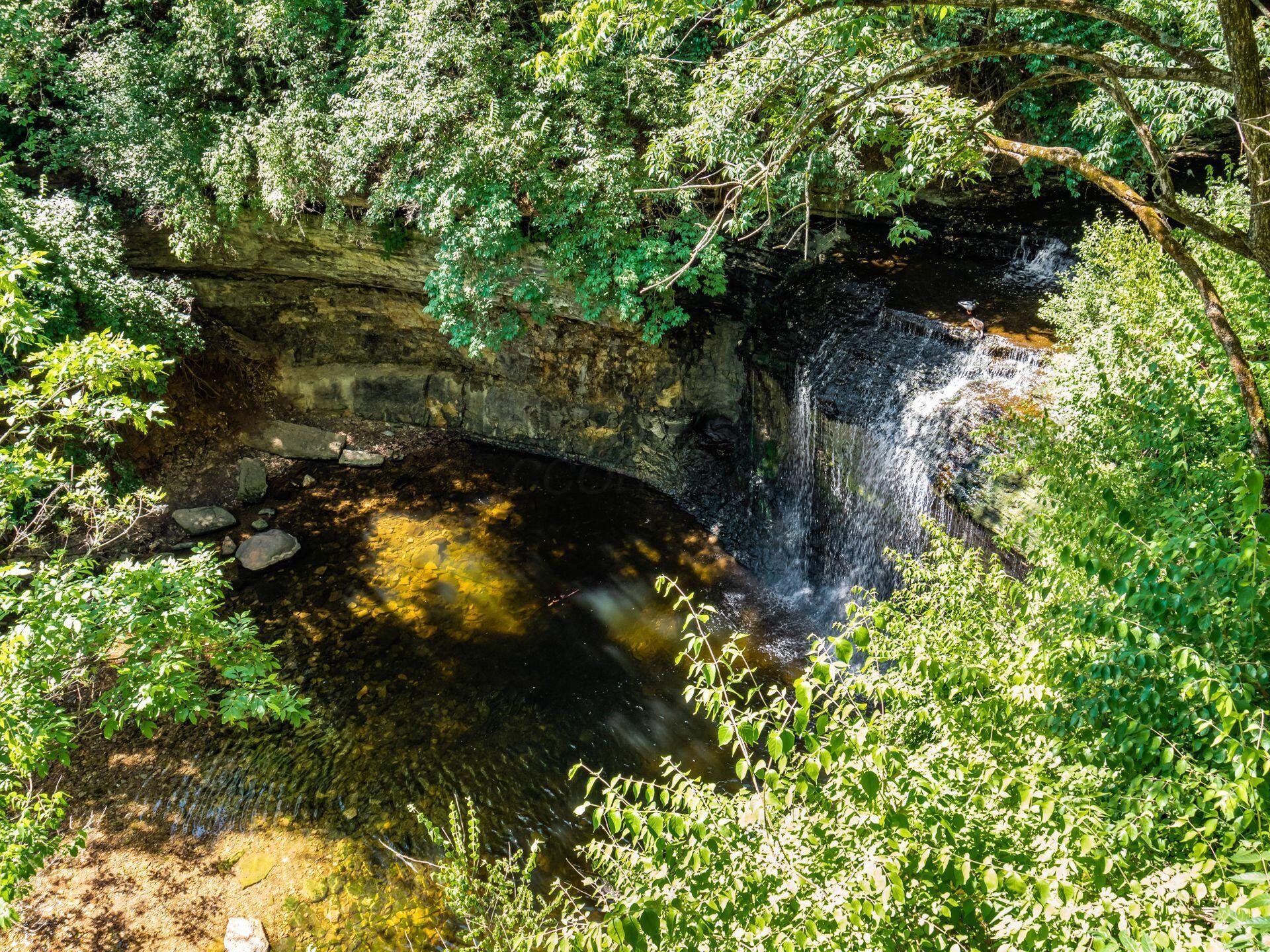 3459 Kinsale Head Drive Property Photo 39