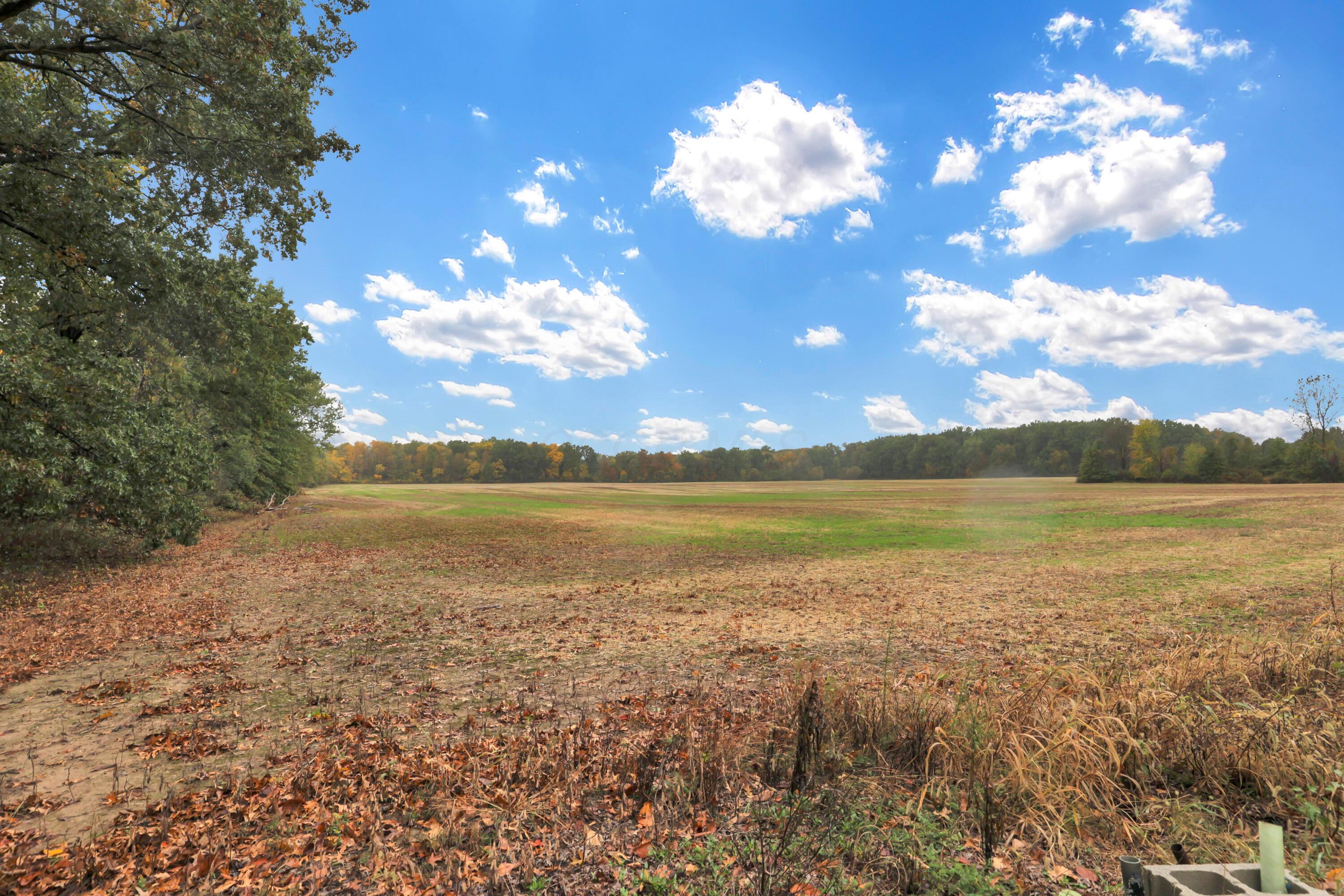 7501 Morse Road Property Photo 26