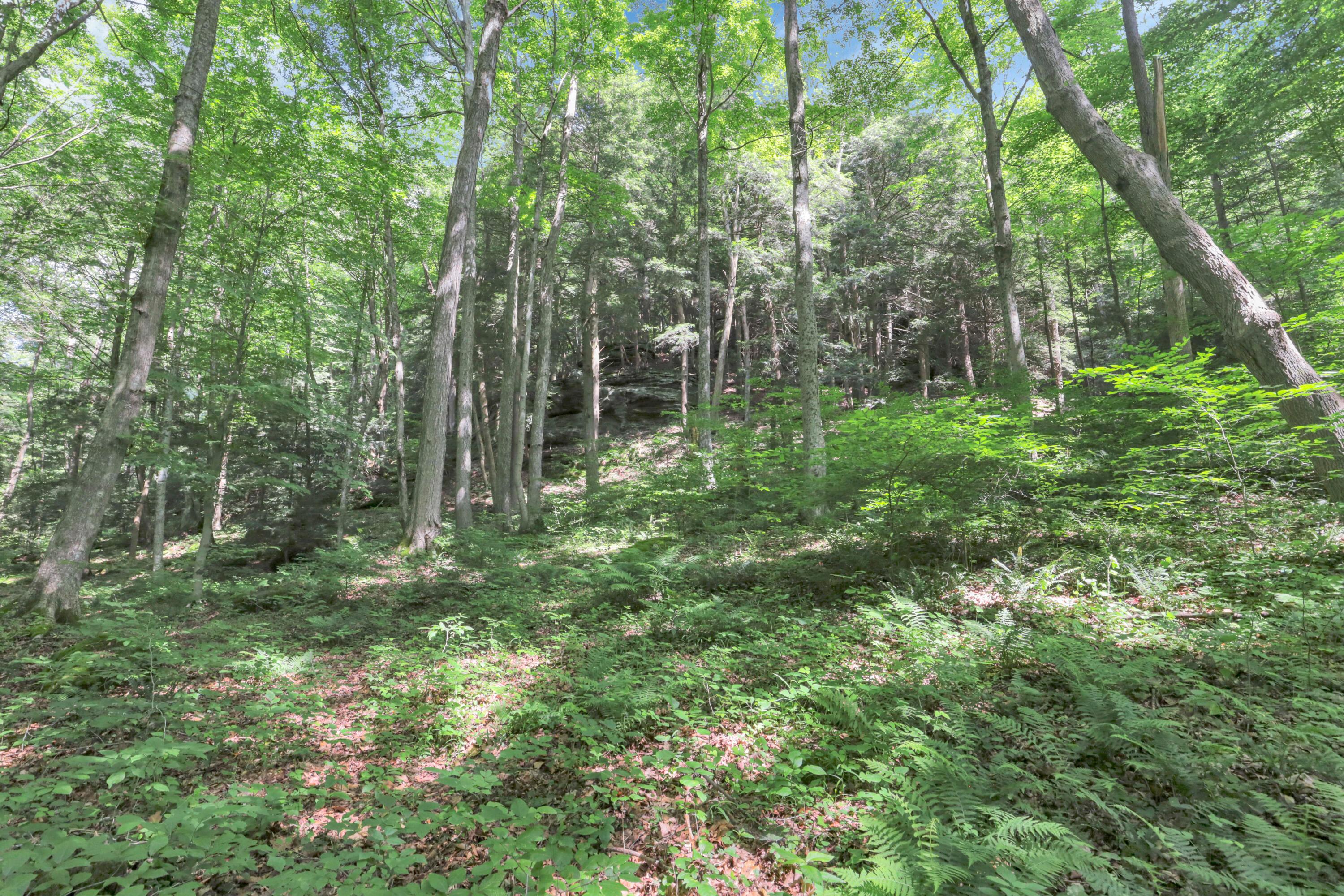 24138 Huffines Road Property Photo 53