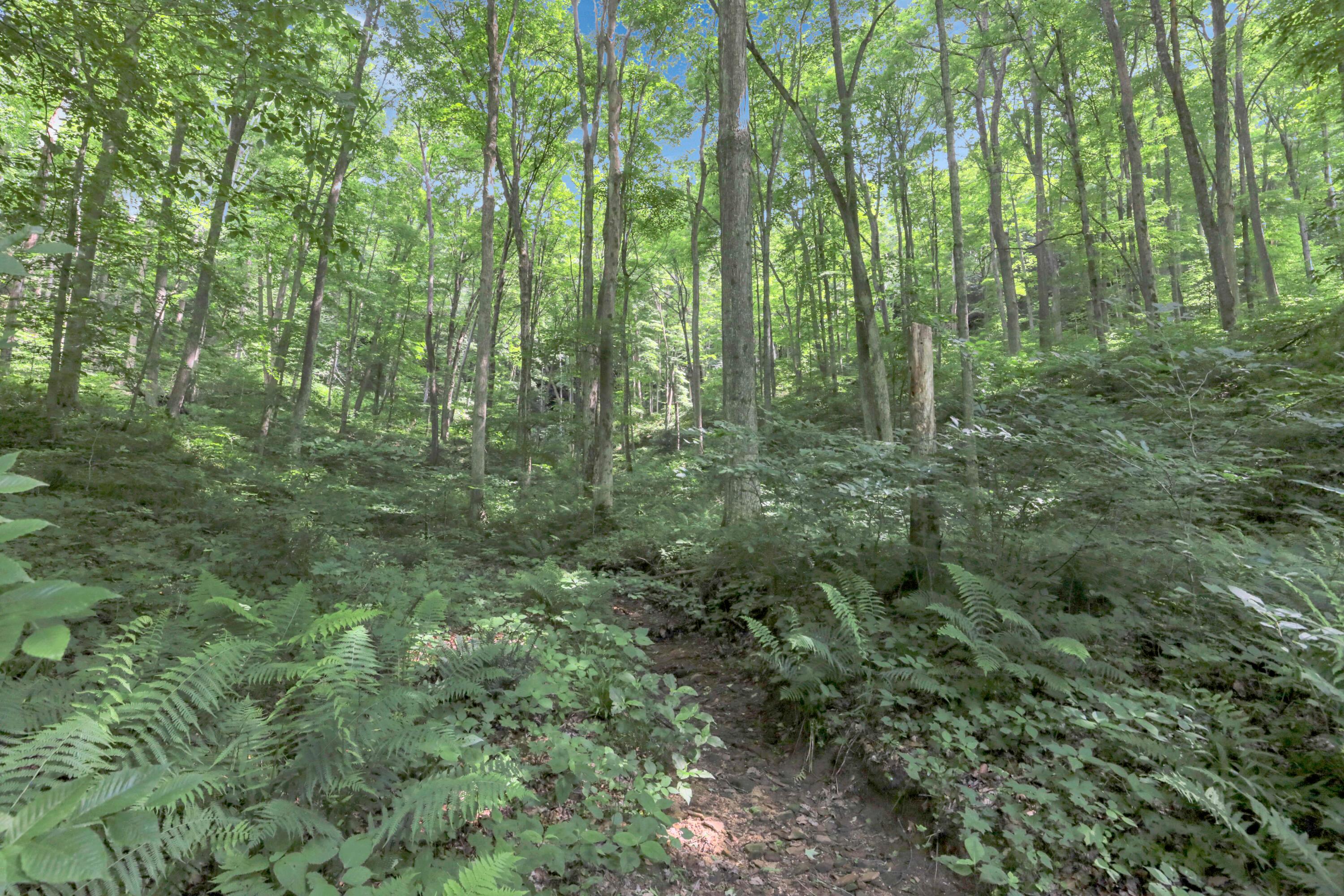 24138 Huffines Road Property Photo 54