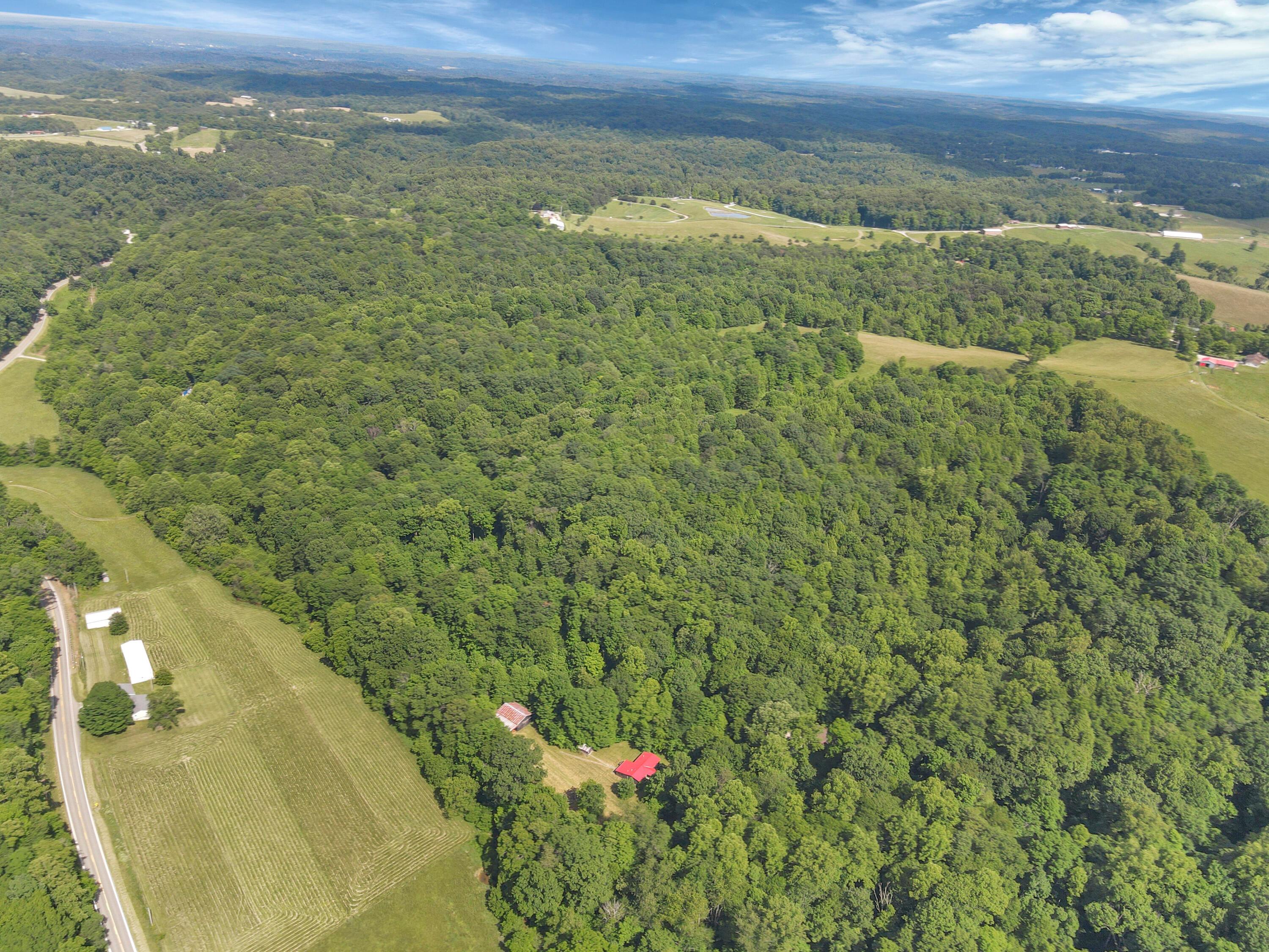 24138 Huffines Road Property Photo 67