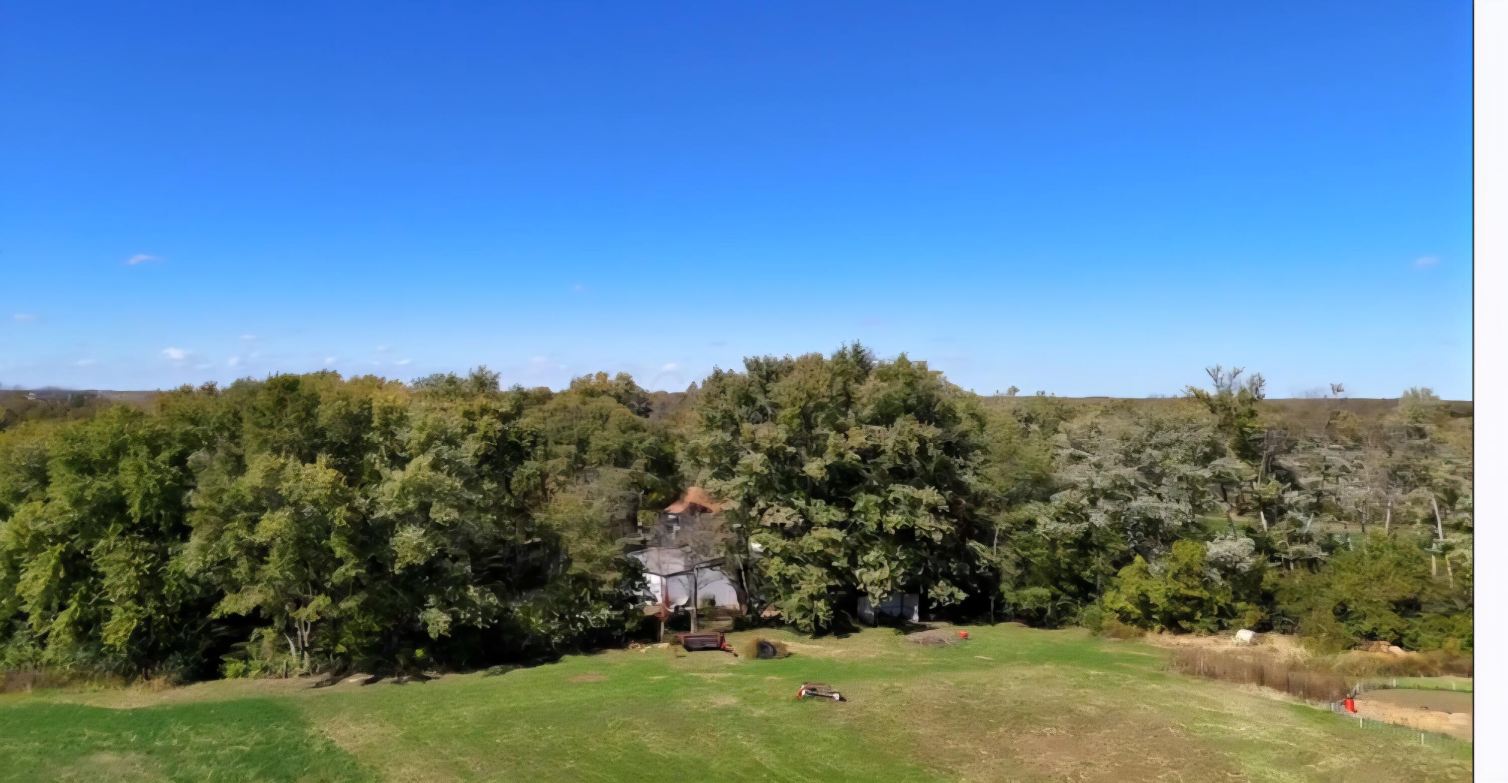 24136 Egypt Pike Property Photo 8