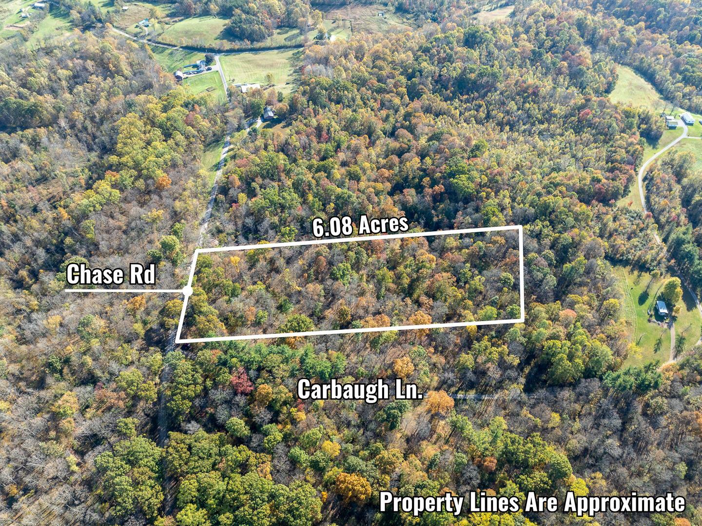 0 Chase Road Property Photo 4
