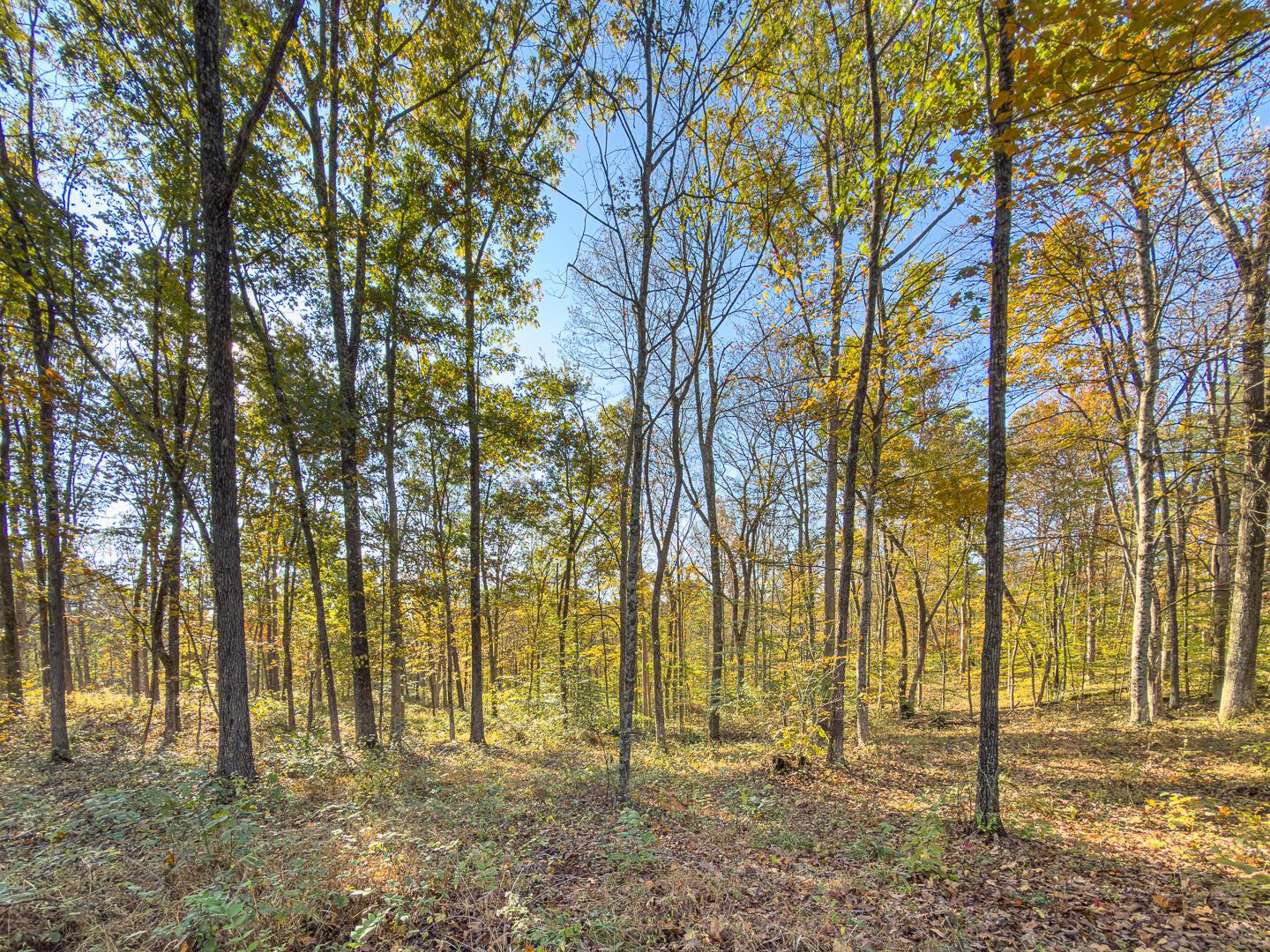0 Chase Road Property Photo 13