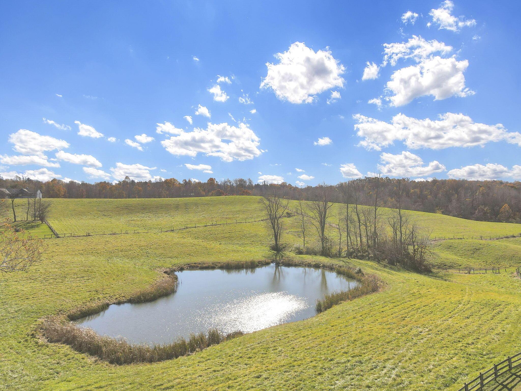 38482 Scout Road Property Photo 53