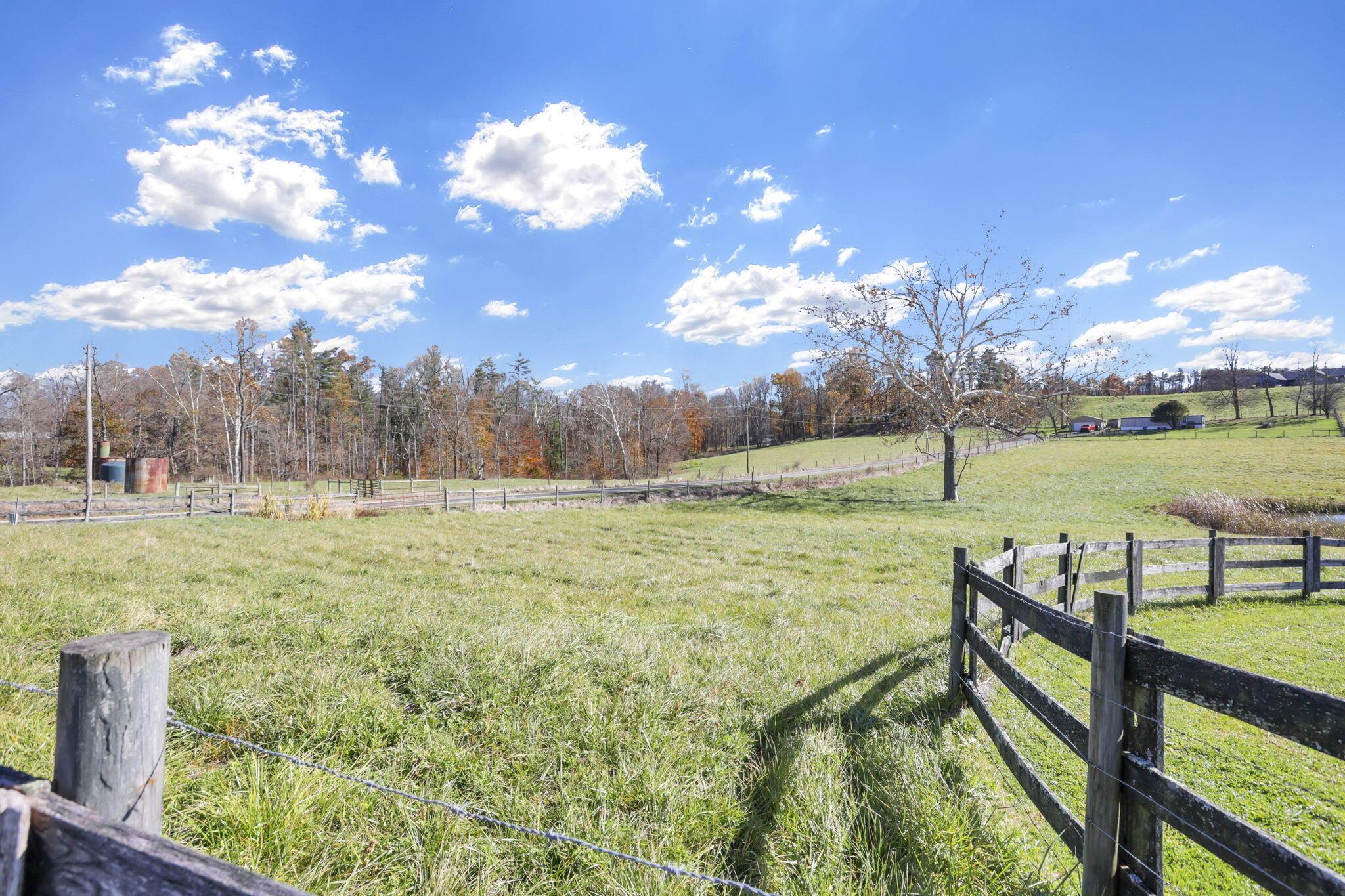 38482 Scout Road Property Photo 56