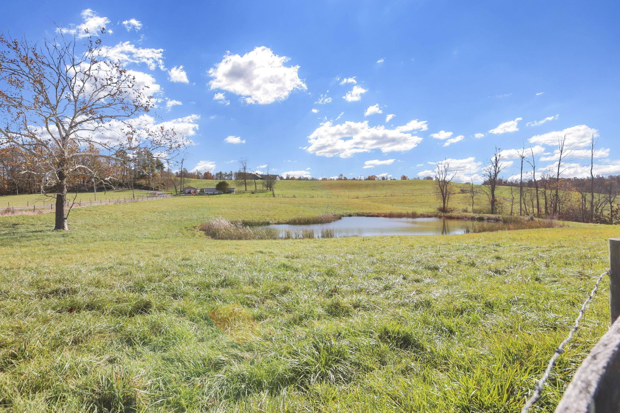 38482 Scout Road Property Photo 57