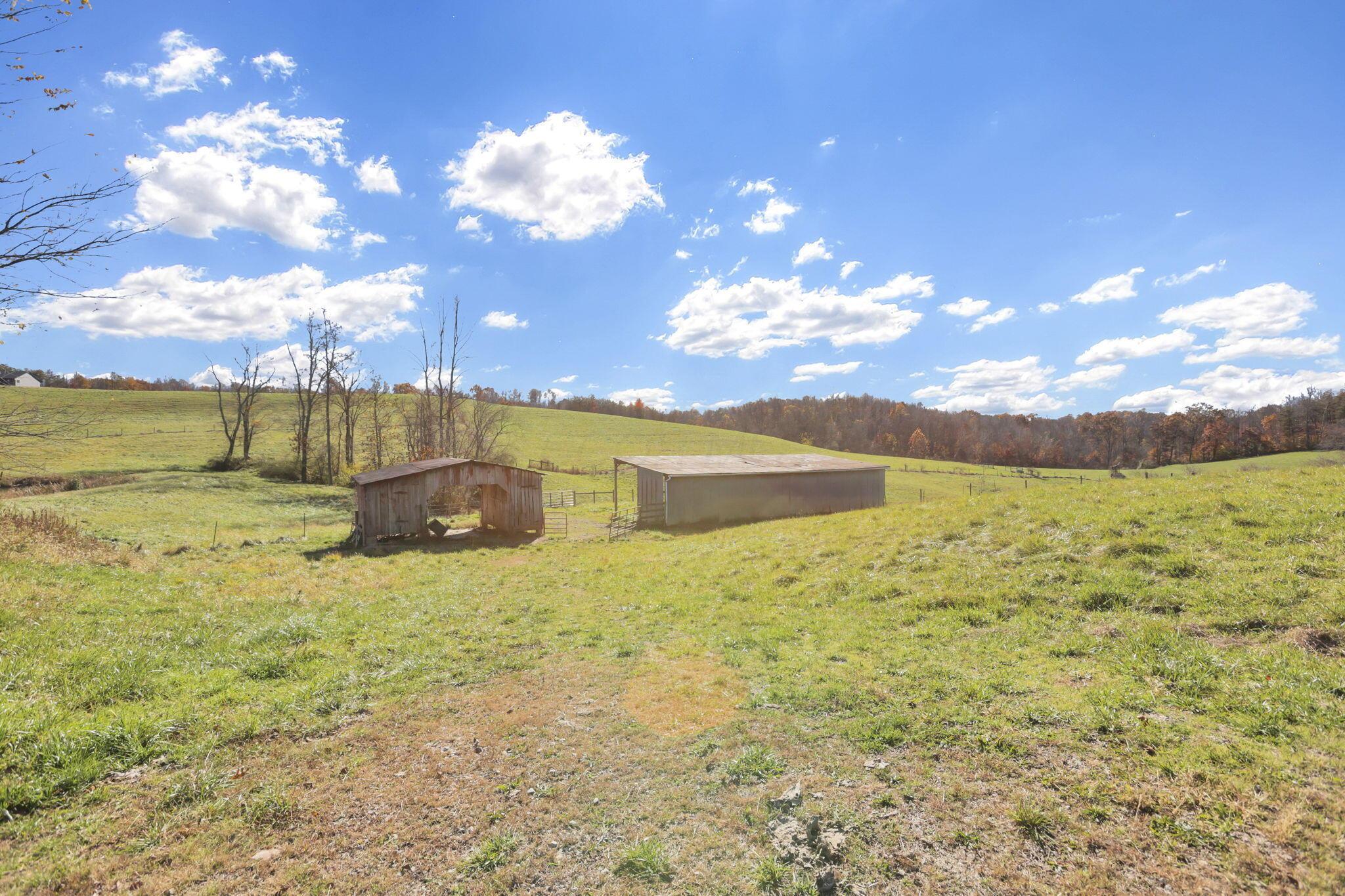 38482 Scout Road Property Photo 62