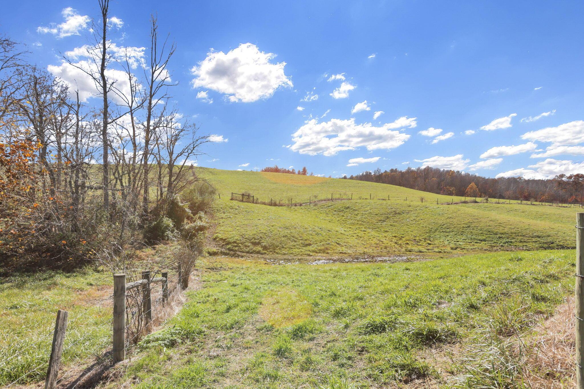 38482 Scout Road Property Photo 66
