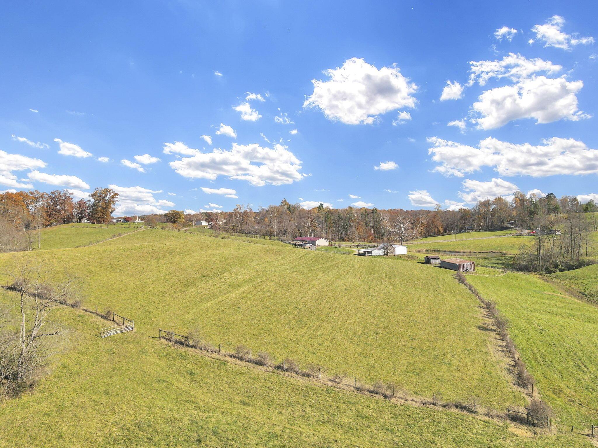 38482 Scout Road Property Photo 69