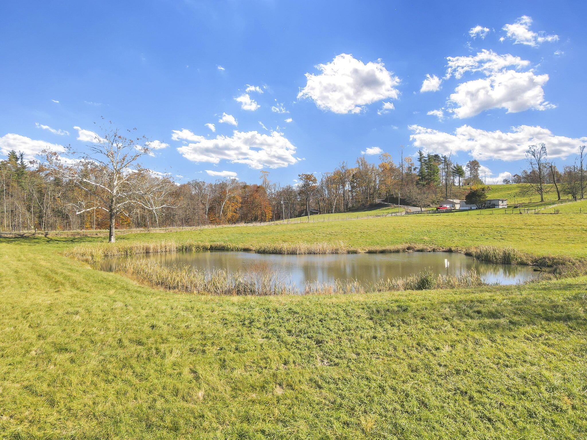 38482 Scout Road Property Photo 74