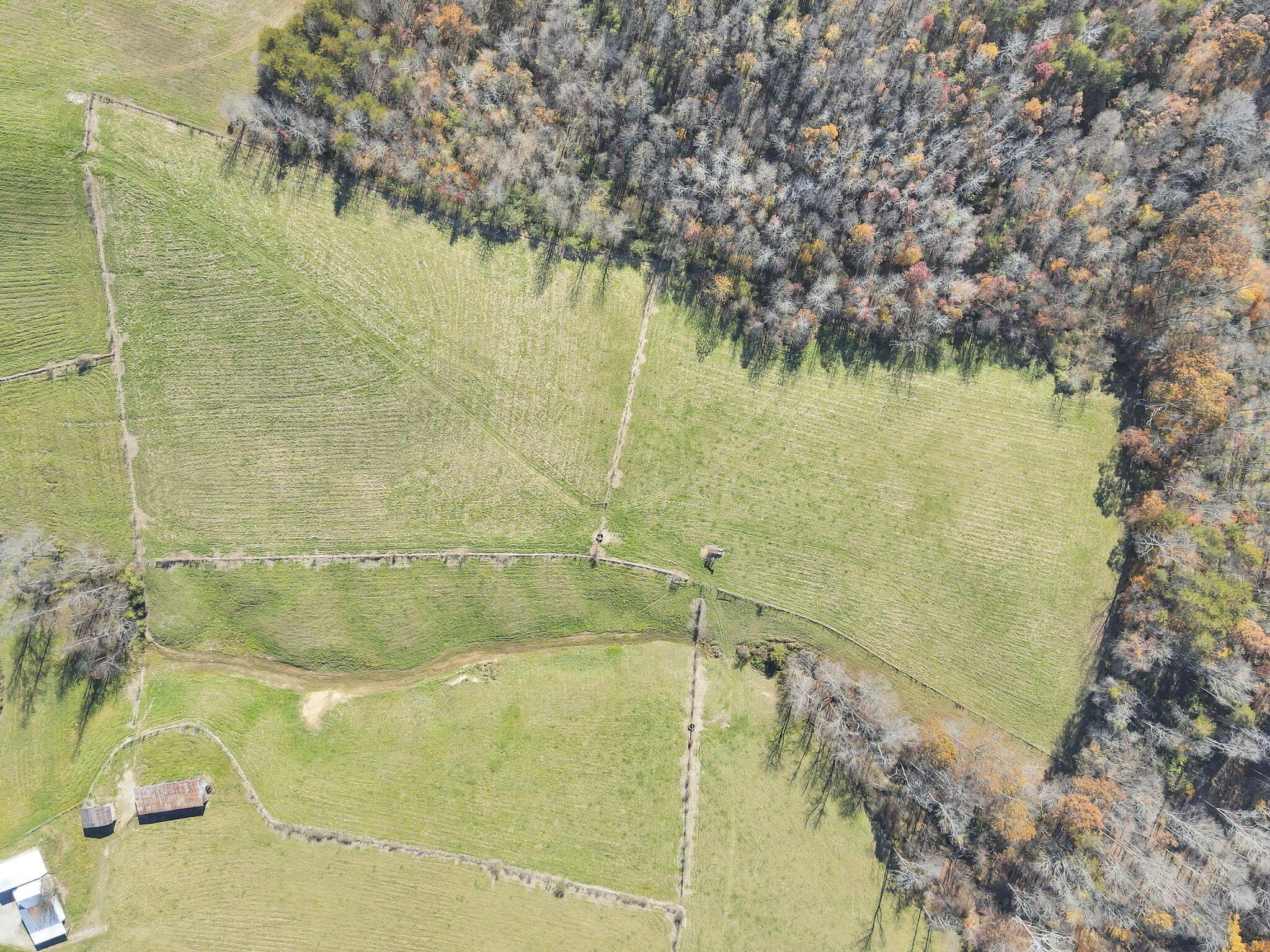 38482 Scout Road Property Photo 75