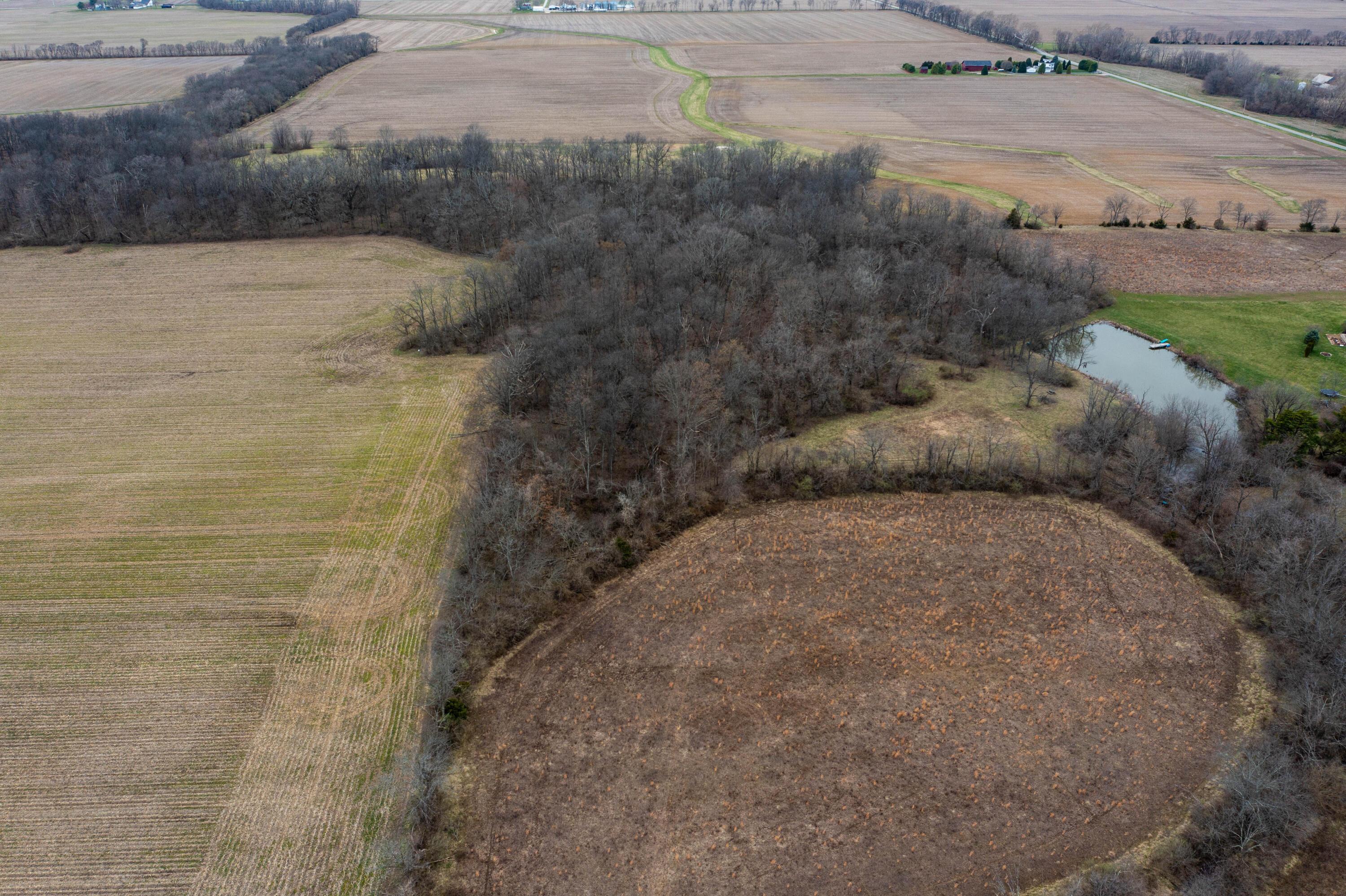 0 Hagerty Road Property Photo 7