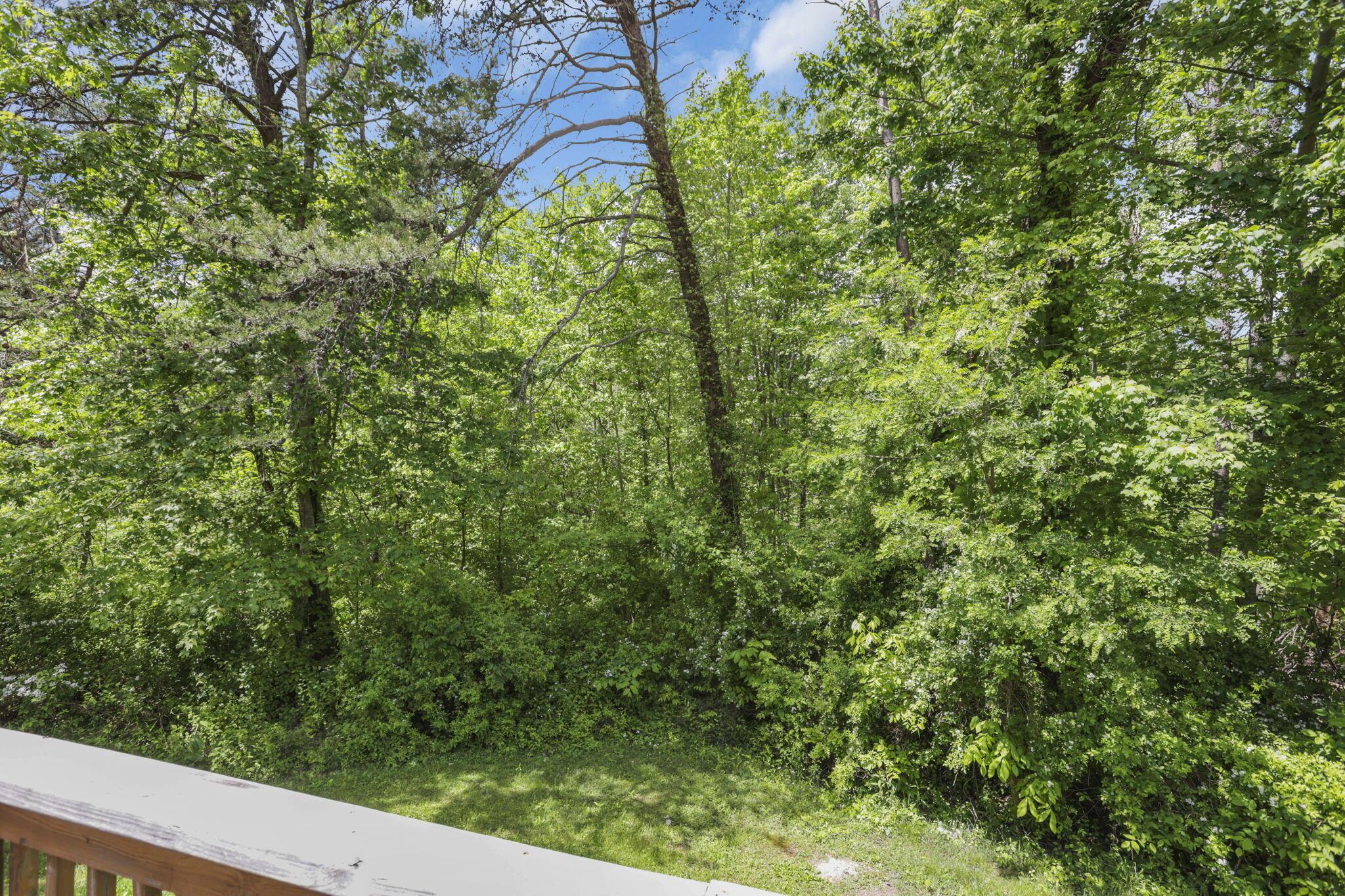 18682 Griffith Road Property Photo 40