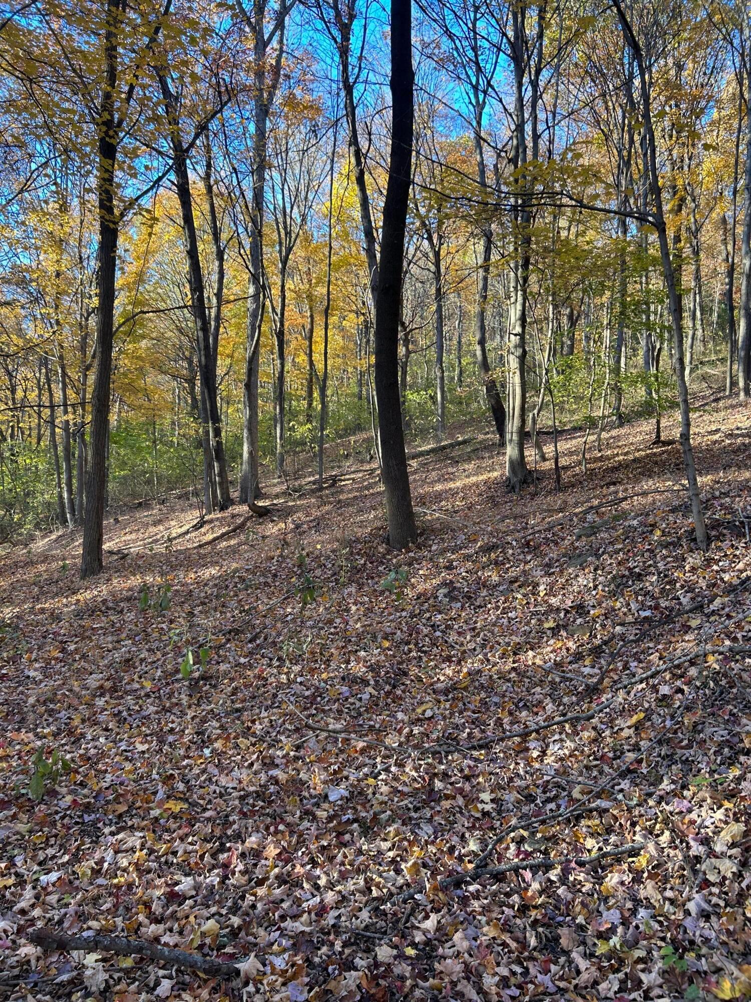 329 Kinzer Road Property Photo 60