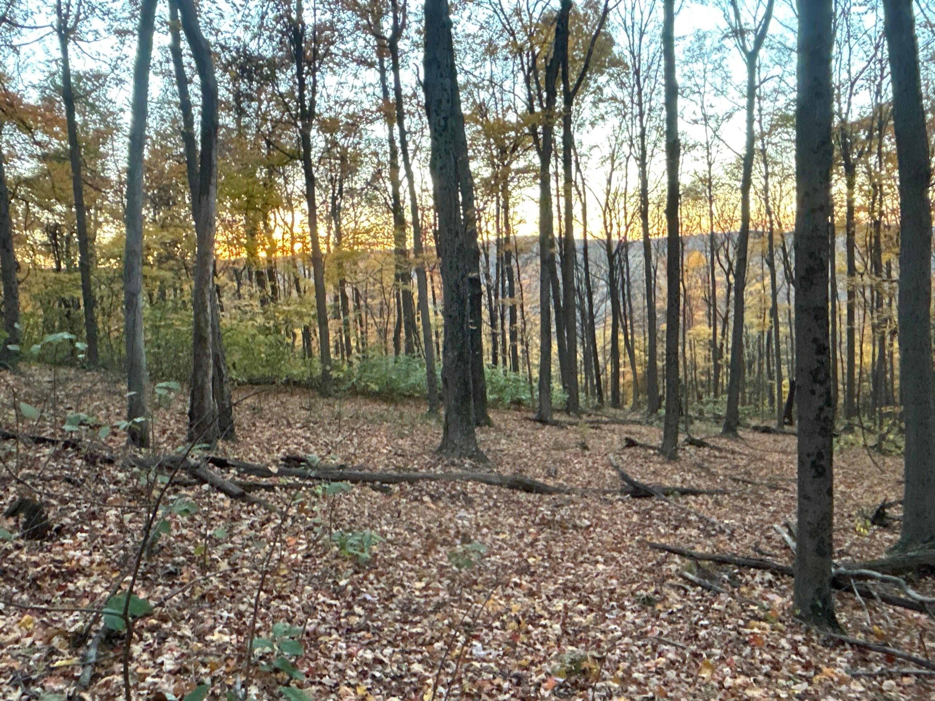 329 Kinzer Road Property Photo 71