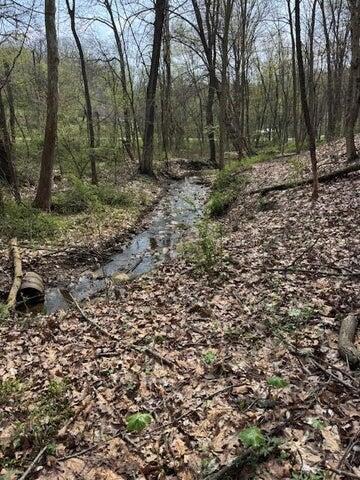 0 Walnut Dowler Road Property Photo 1