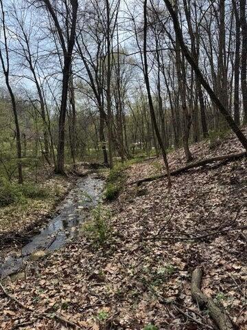 0 Walnut Dowler Road Property Photo 2