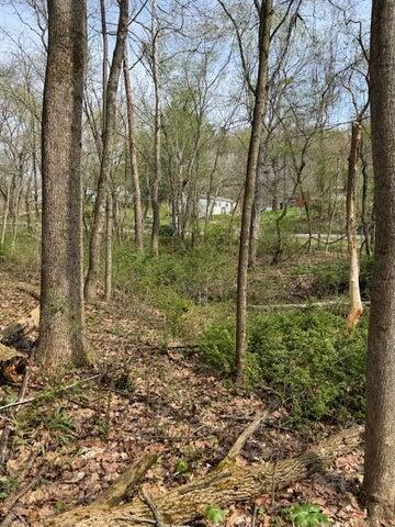 0 Walnut Dowler Road Property Photo 3