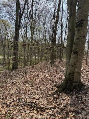 0 Walnut Dowler Road Property Photo 5
