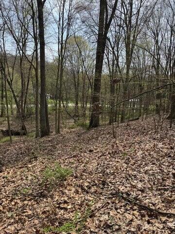 0 Walnut Dowler Road Property Photo 6
