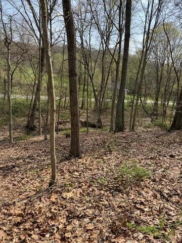 0 Walnut Dowler Road Property Photo 7