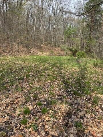 0 Walnut Dowler Road Property Photo 8