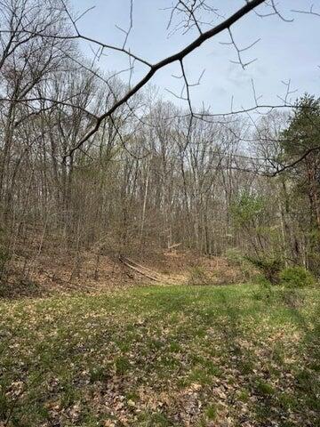 0 Walnut Dowler Road Property Photo 9