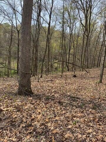 0 Walnut Dowler Road Property Photo 10