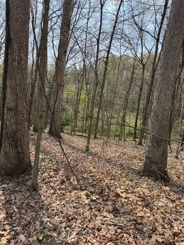 0 Walnut Dowler Road Property Photo 11