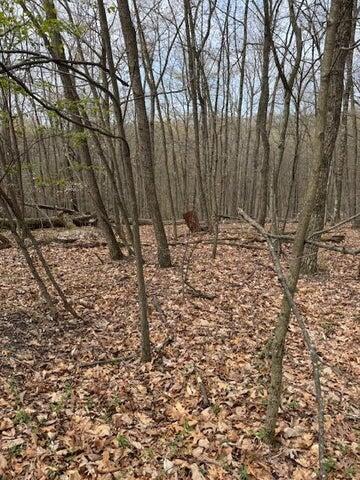 0 Walnut Dowler Road Property Photo 12