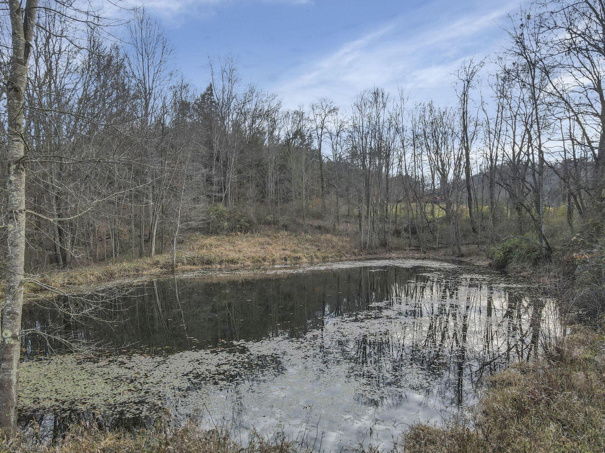 22037 State Route 180 Property Photo 68