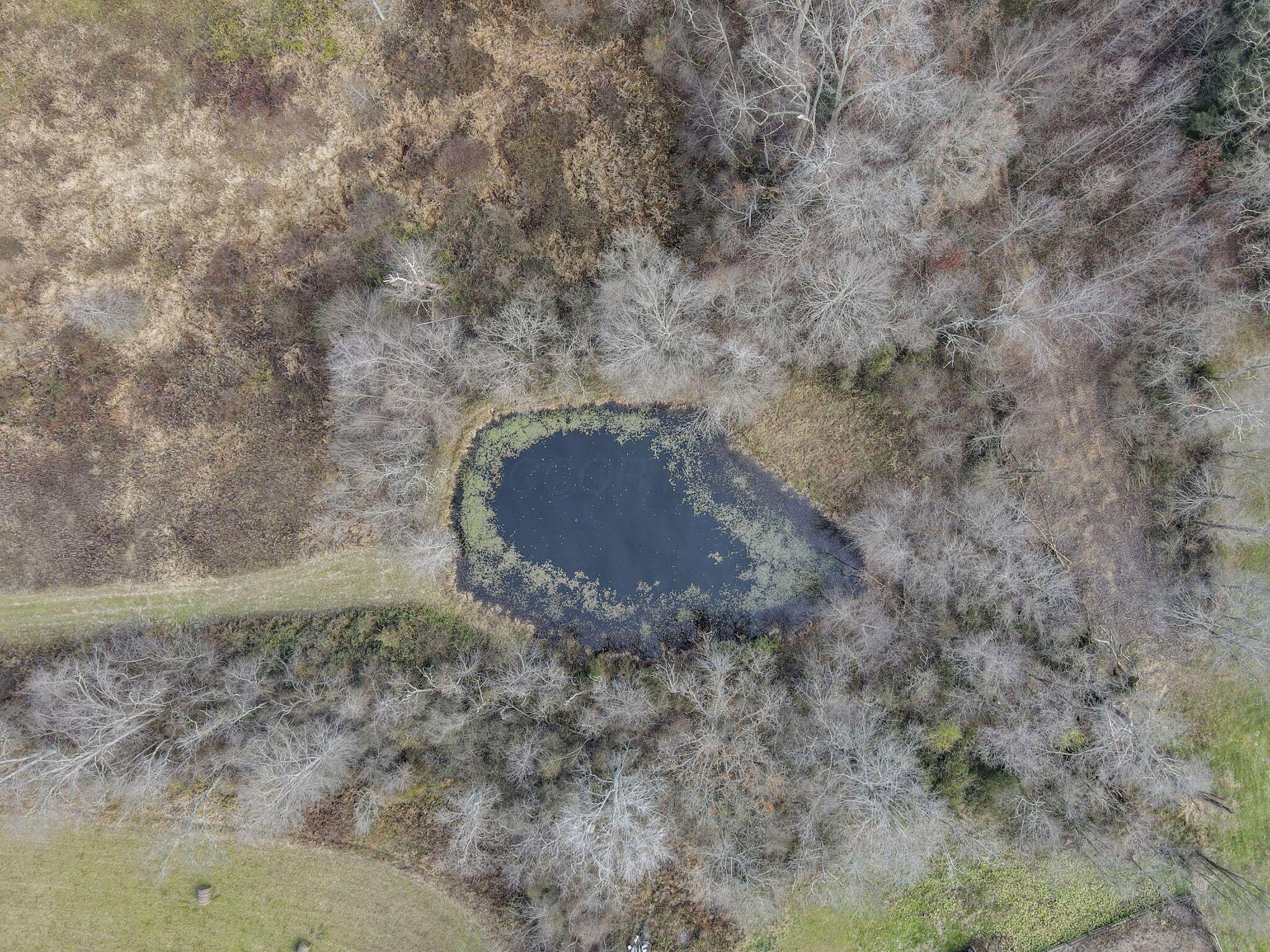 22037 State Route 180 Property Photo 73