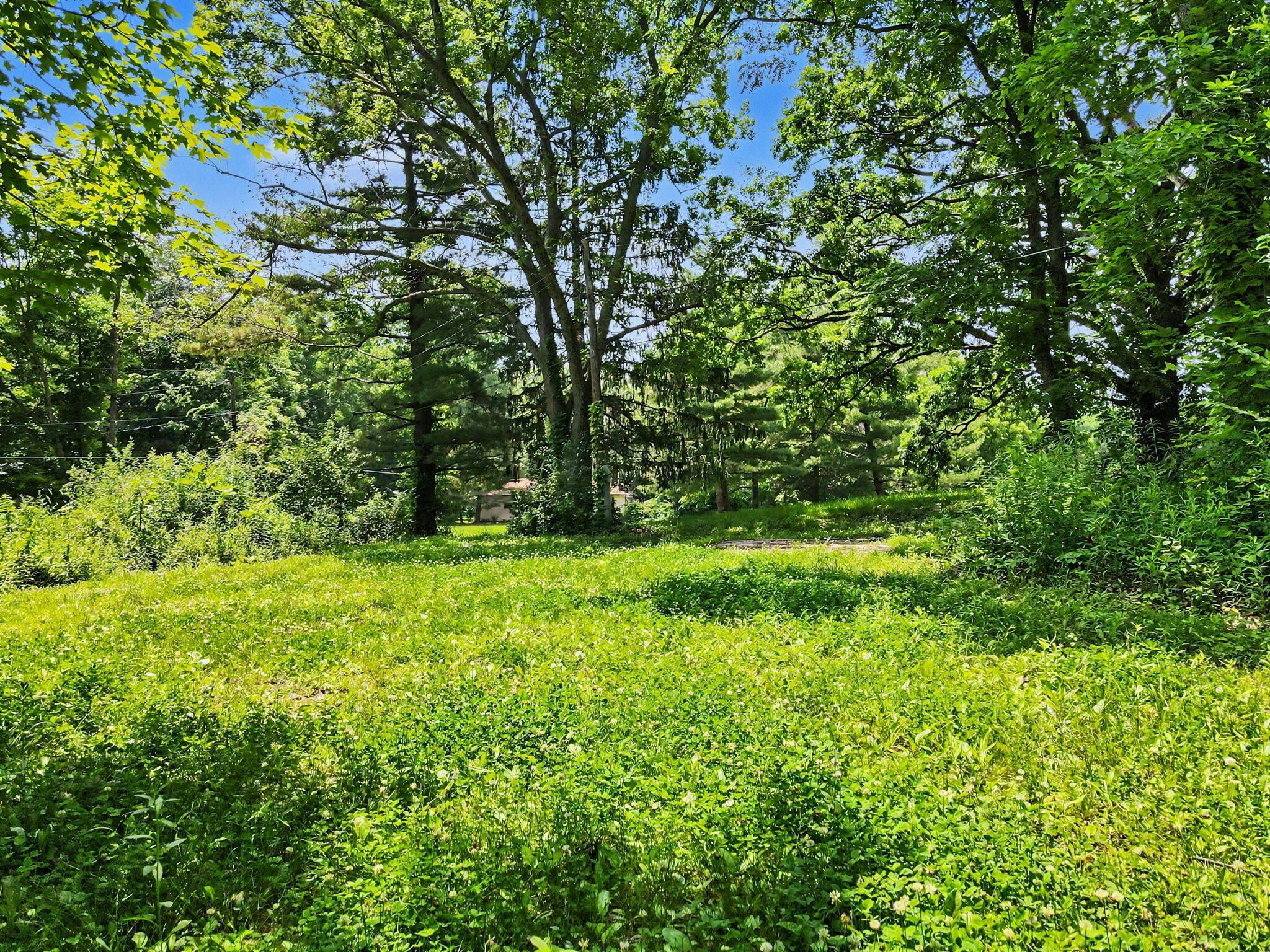 3787 Refugee Road Sw Property Photo 45