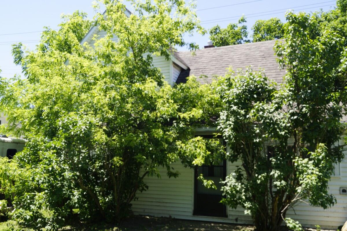 126 Grove Street Property Photo 6