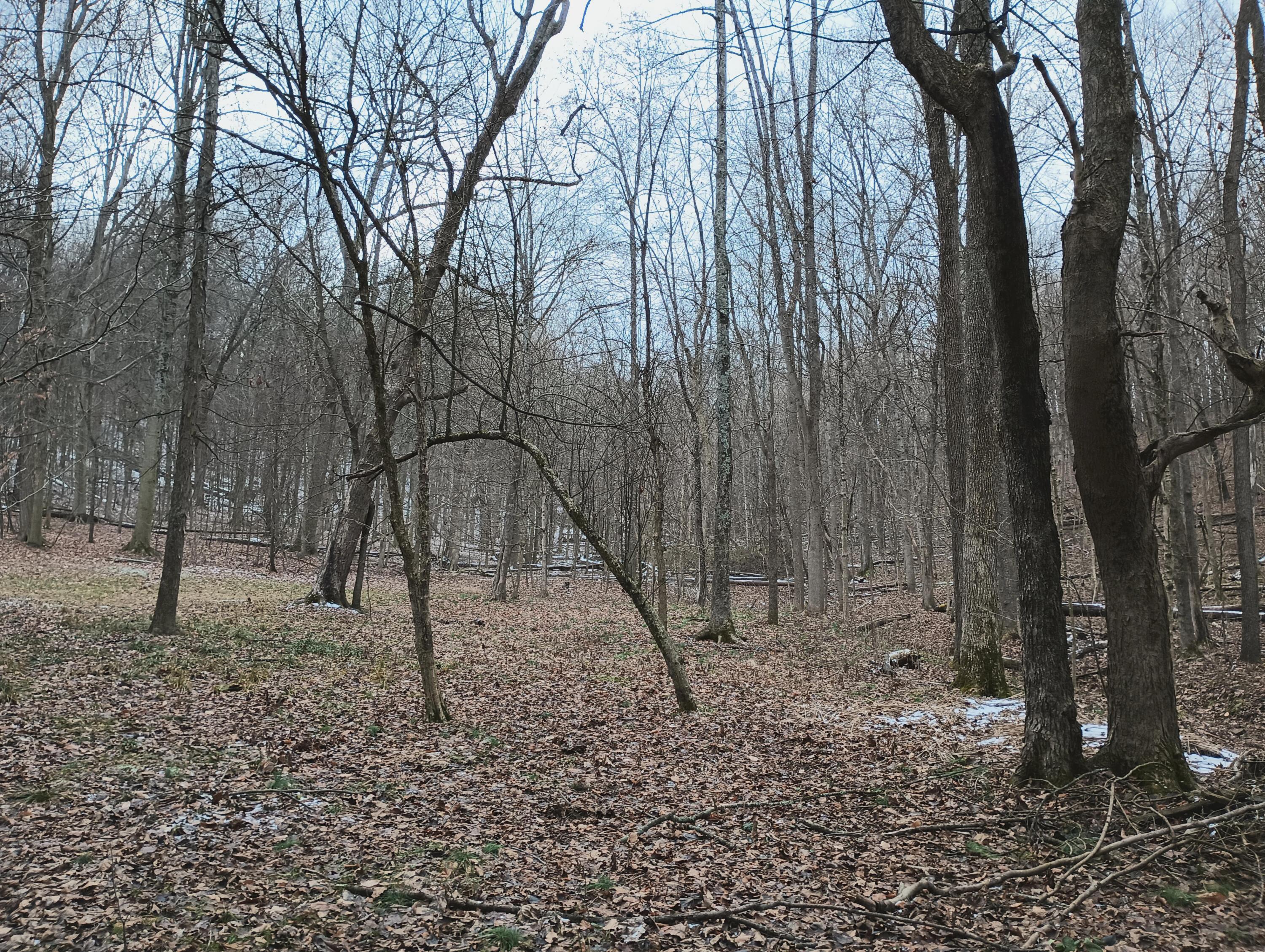 0 Chatham Road Property Photo 23